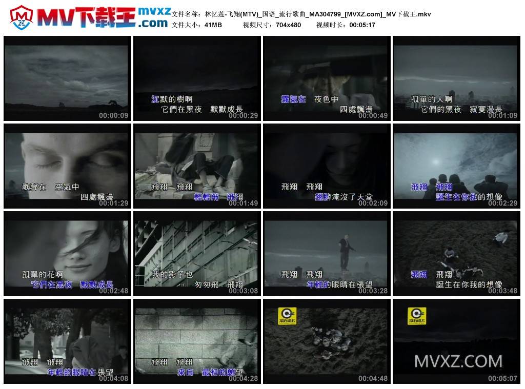 林忆莲-飞翔(MTV)_国语_流行歌曲_MA304799